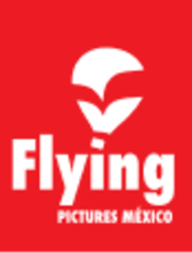 Flying Pictures México