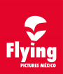 Flying Pictures México