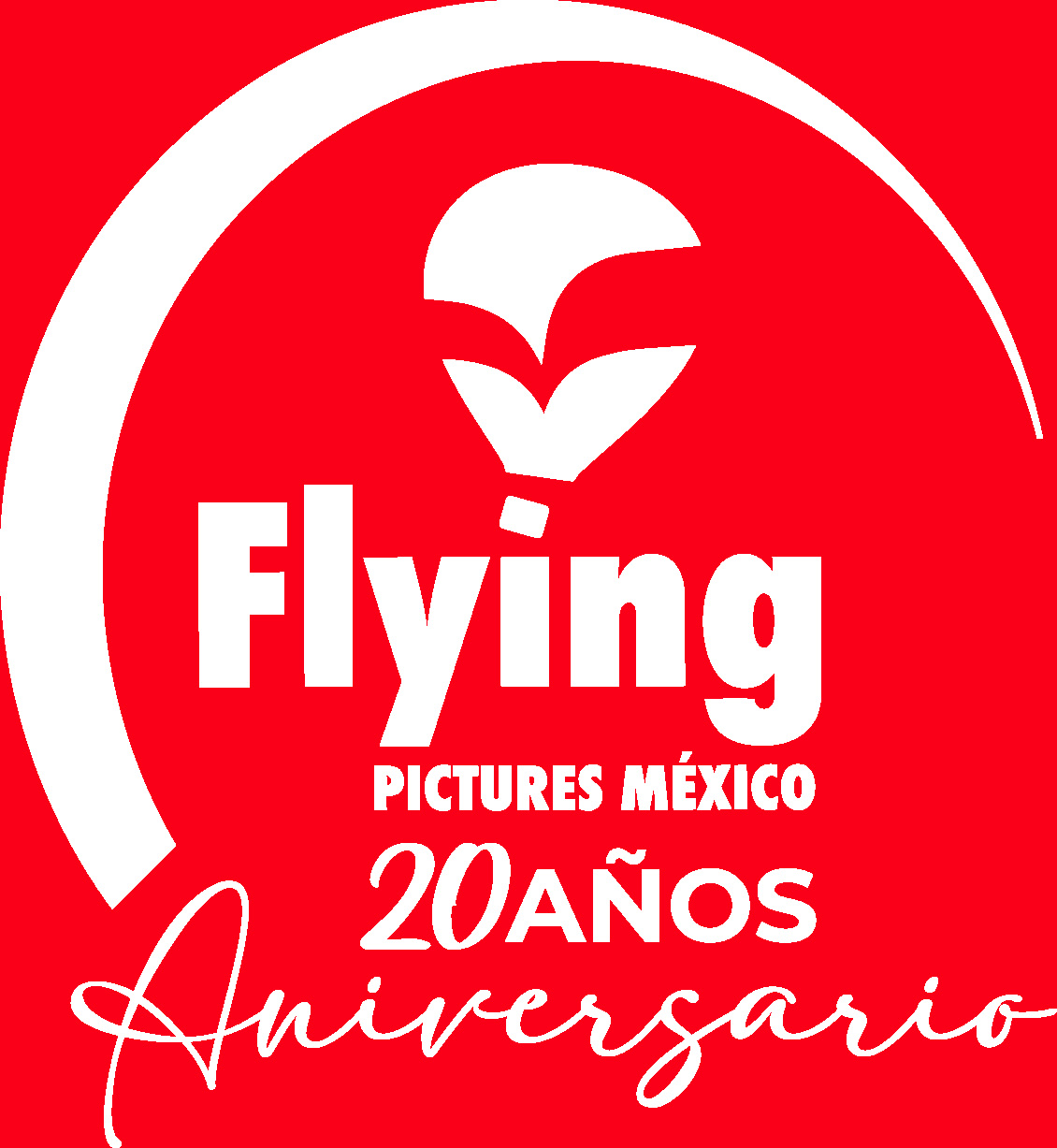 Flying Pictures An Aviation Company